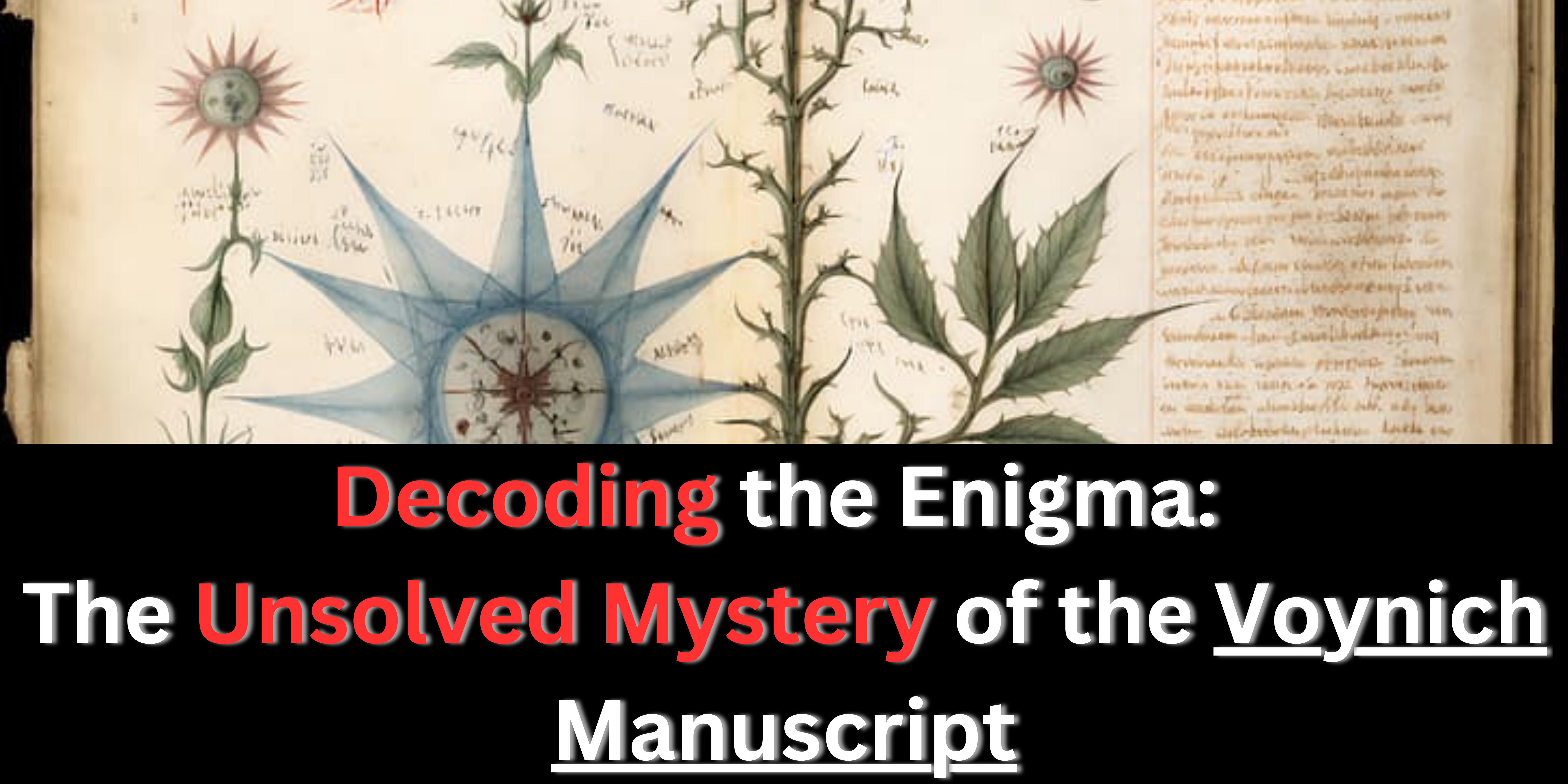 Voynich manuscript